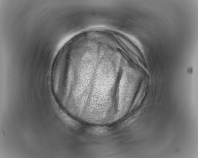 X0000089941279200707201855