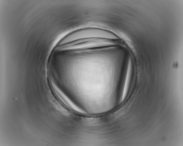 X0000089941280200707201855