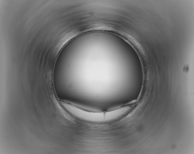 X0000089941281200707201855