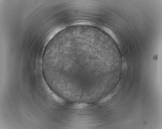 X0000089941282200707201855