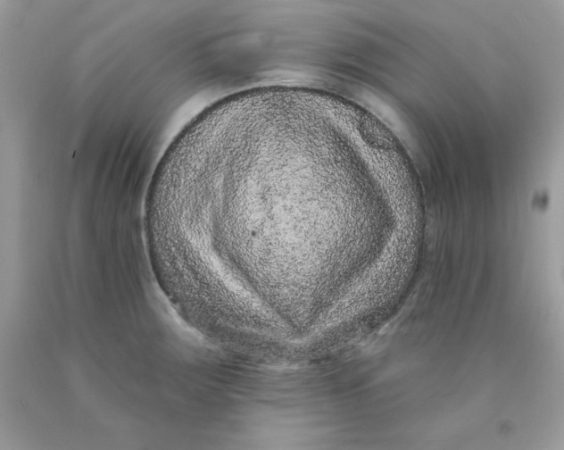 X0000089941283200707201855