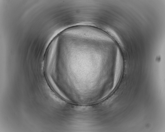 X0000089941284200707201855