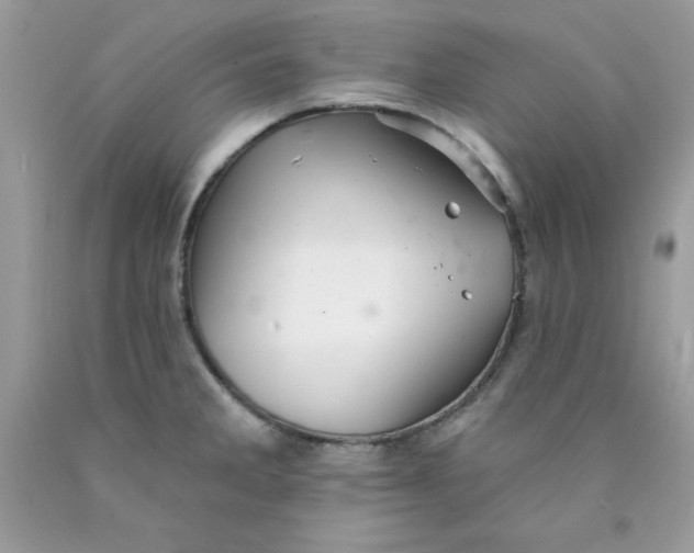 X0000089941285200707201855