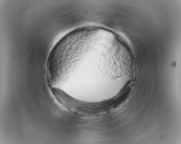 X0000089941287200707201855