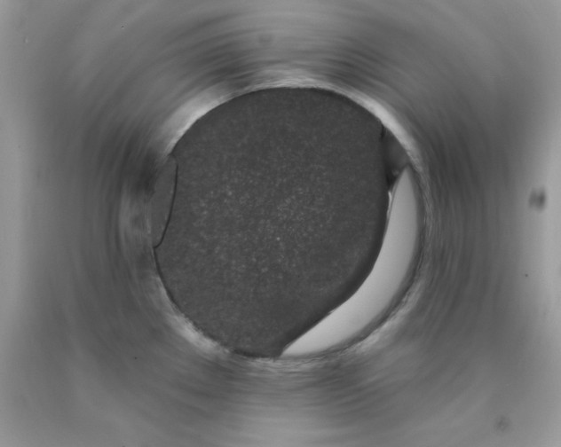 X0000089941289200707201855