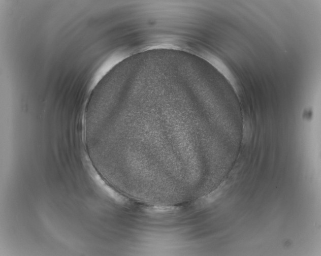 X0000089941290200707201855