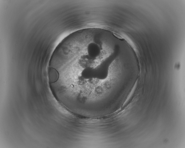 X0000089941291200707201855