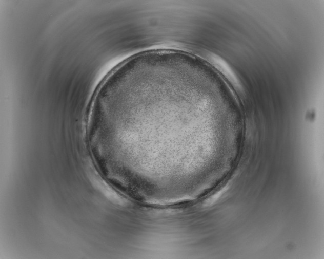 X0000089941292200707201855