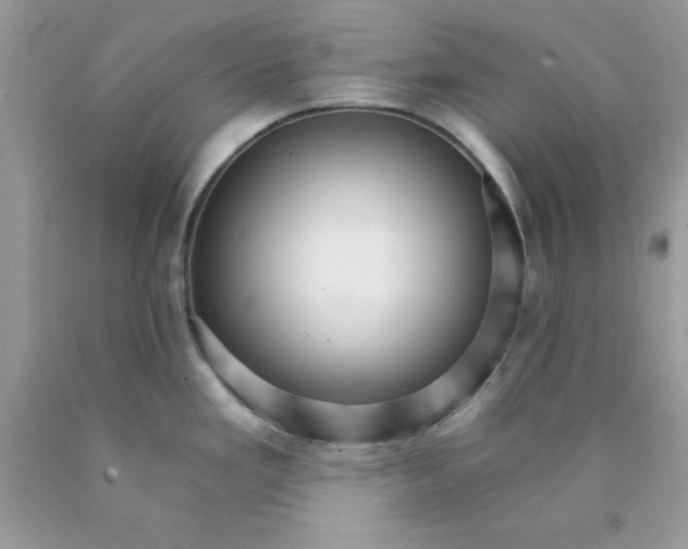 X0000089941293200707201855