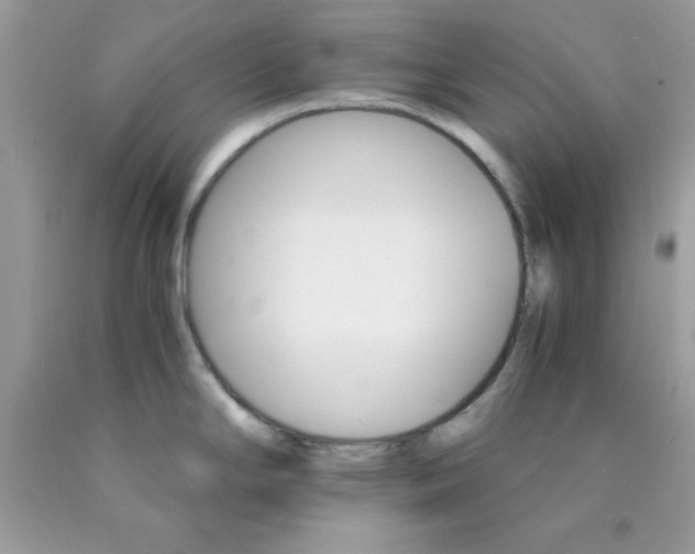 X0000089941294200707201855