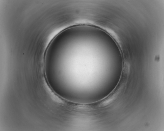 X0000089941295200707201855