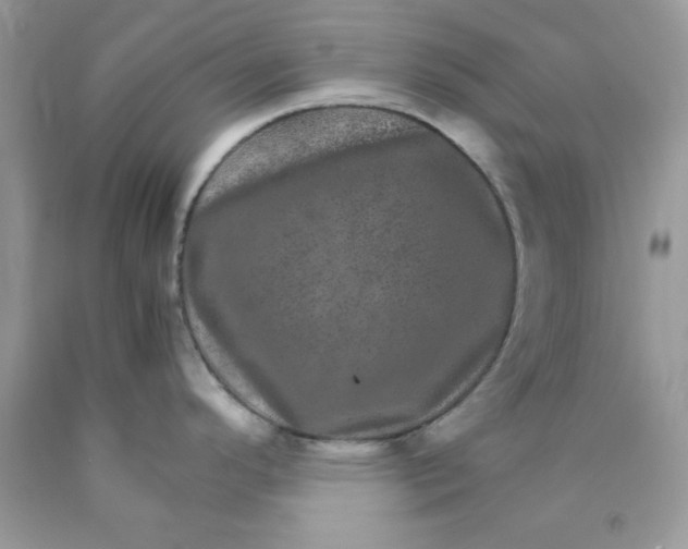 X0000089941296200707201855