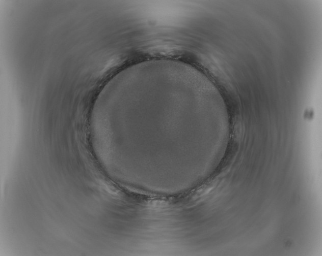 X0000089941297200707201854