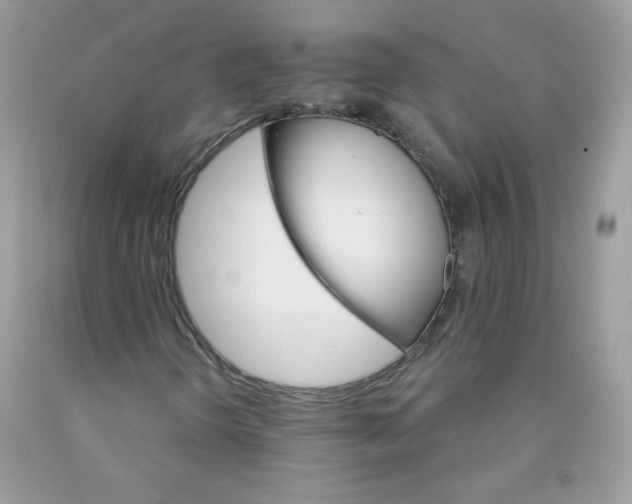 X0000089941298200707201854