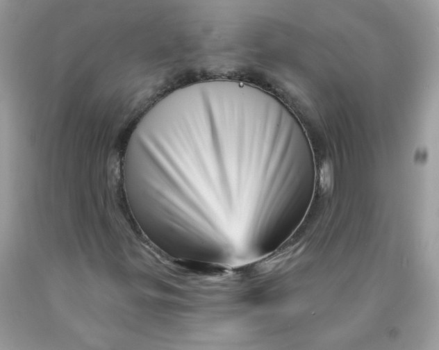 X0000089941299200707201854