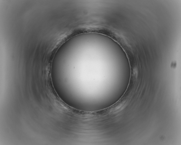 X0000089941300200707201854