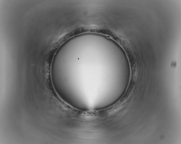 X0000089941301200707201854