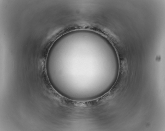 X0000089941302200707201854