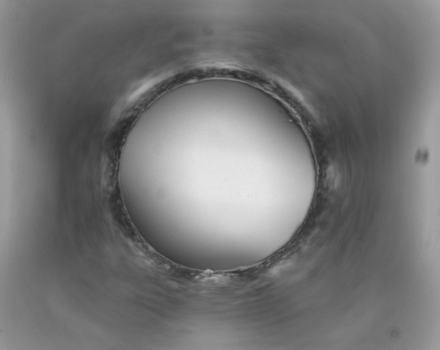 X0000089941303200707201854