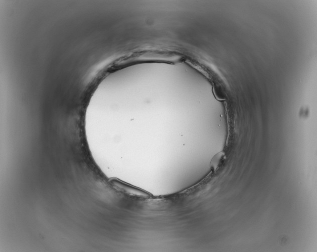 X0000089941304200707201854