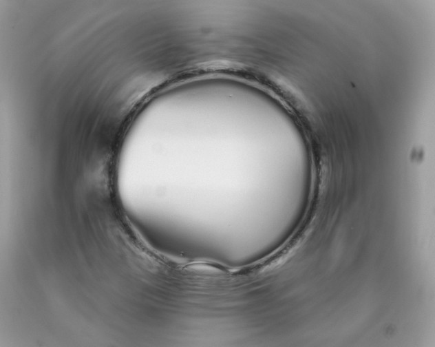 X0000089941305200707201854