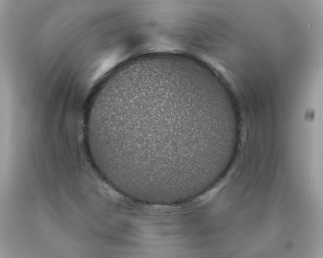 X0000089941306200707201854