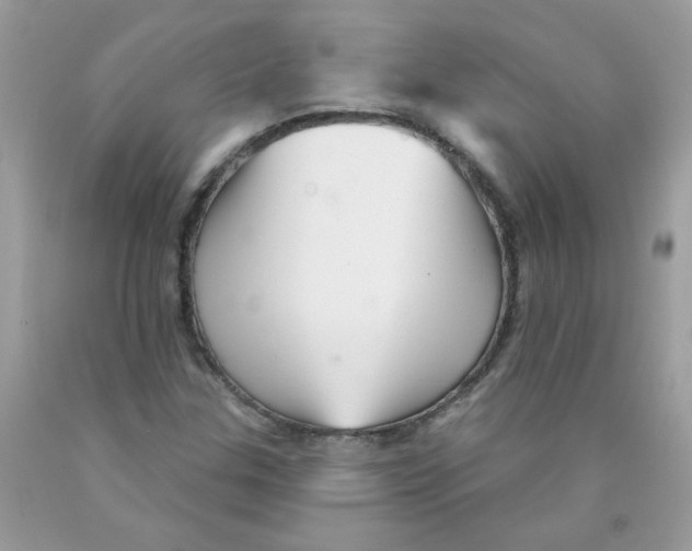 X0000089941307200707201854