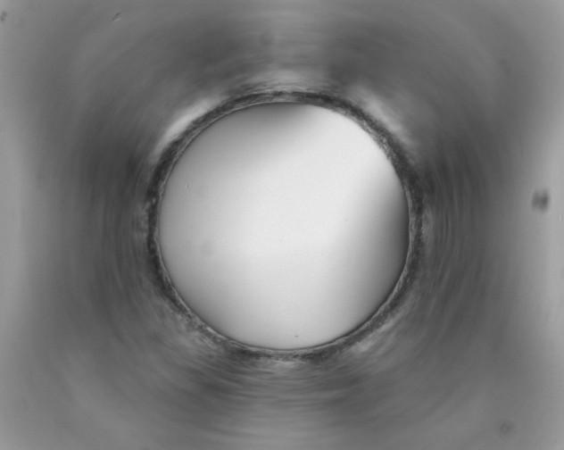 X0000089941309200707201854