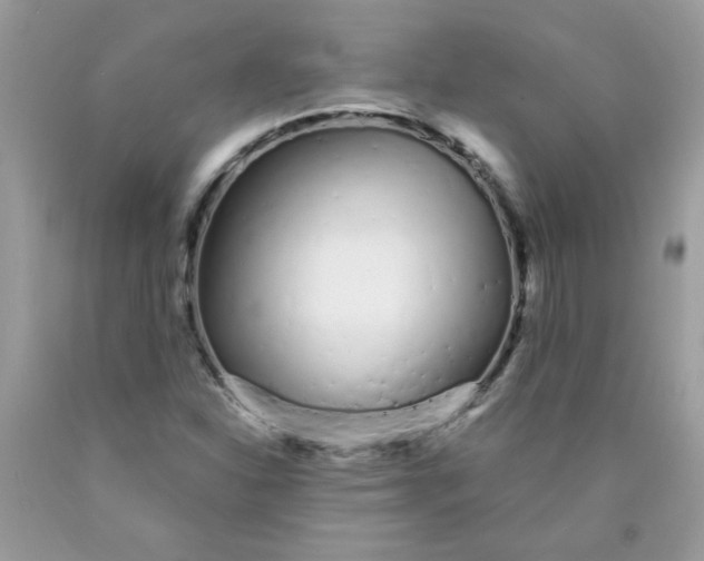 X0000089941310200707201854