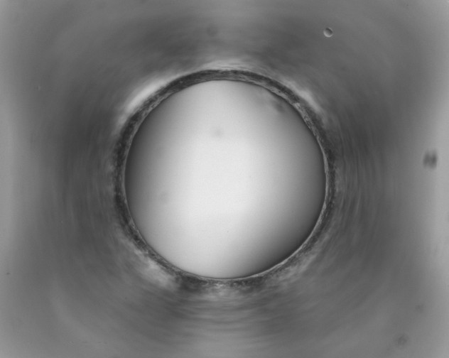 X0000089941311200707201854