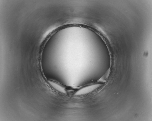 X0000089941312200707201854