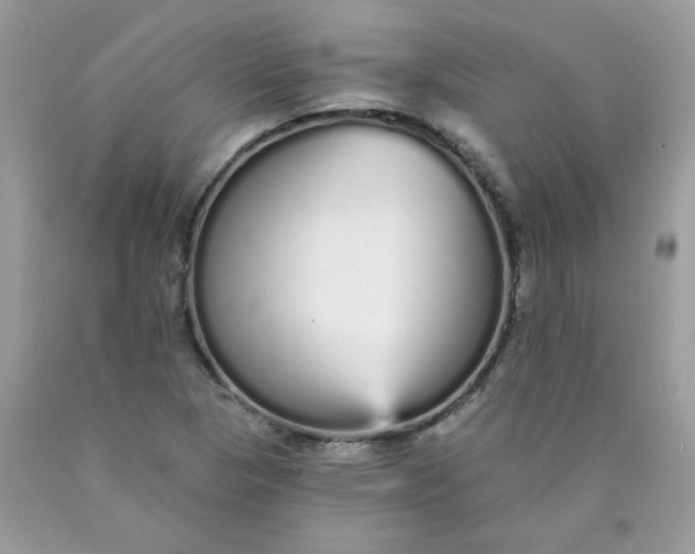 X0000089941313200707201854