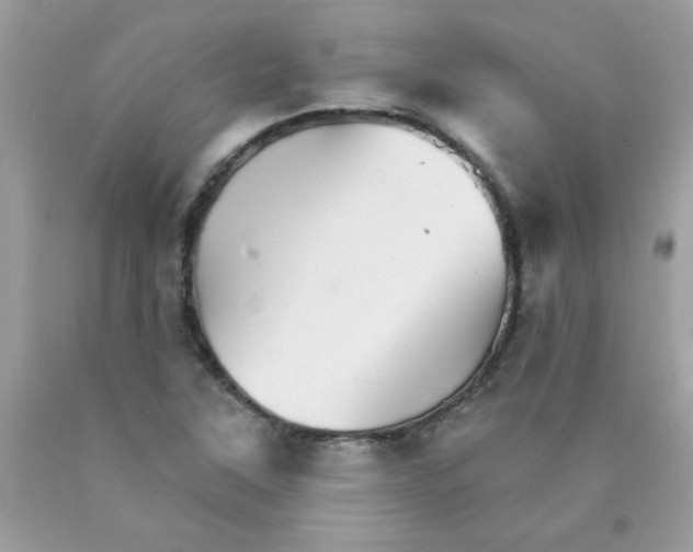 X0000089941315200707201854