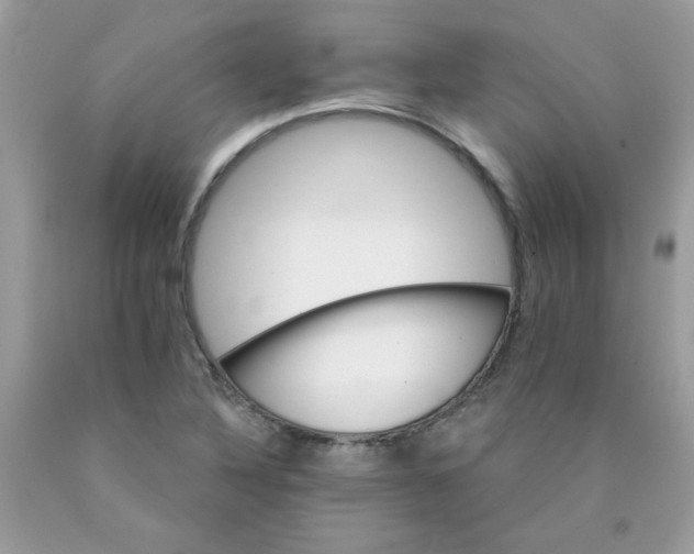 X0000089941316200707201854