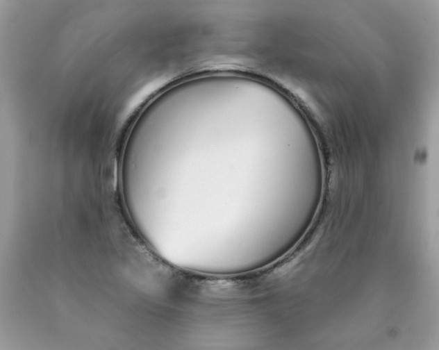 X0000089941317200707201854