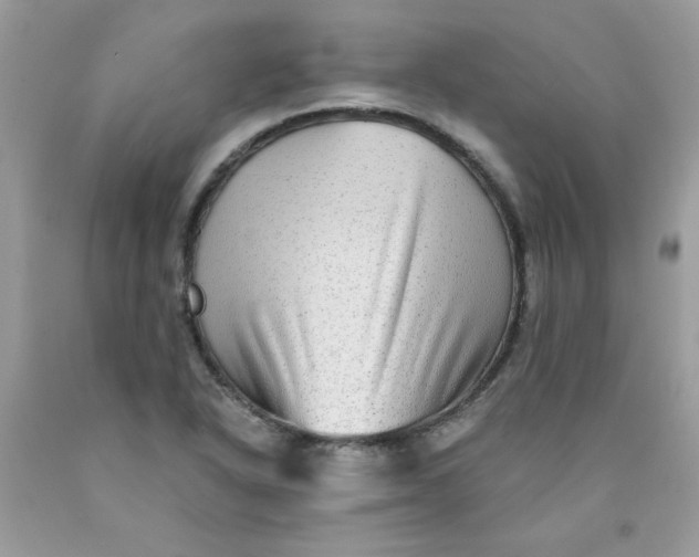 X0000089941318200707201854