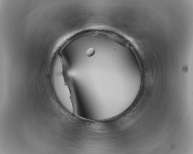 X0000089941319200707201854