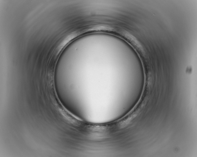 X0000089941321200707201854