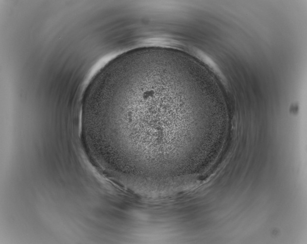 X0000089941323200707201854