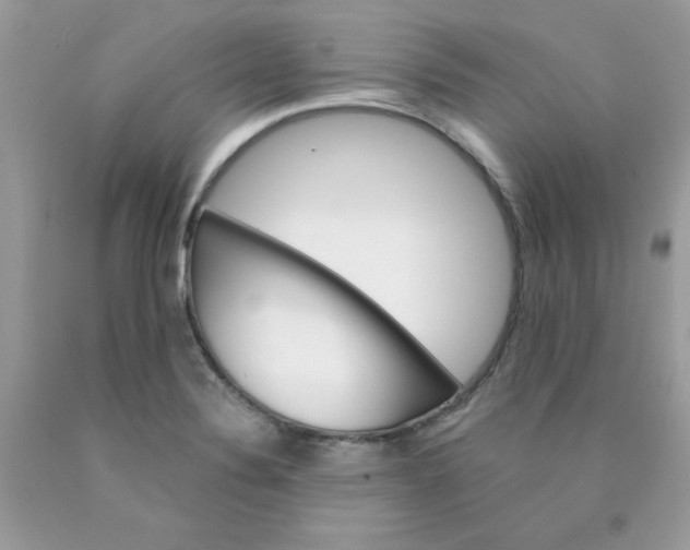 X0000089941324200707201854