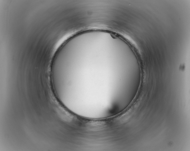 X0000089941325200707201854