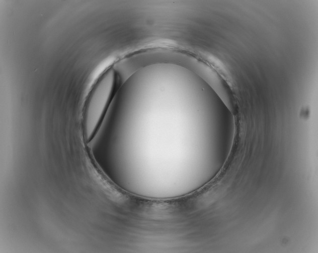 X0000089941326200707201854