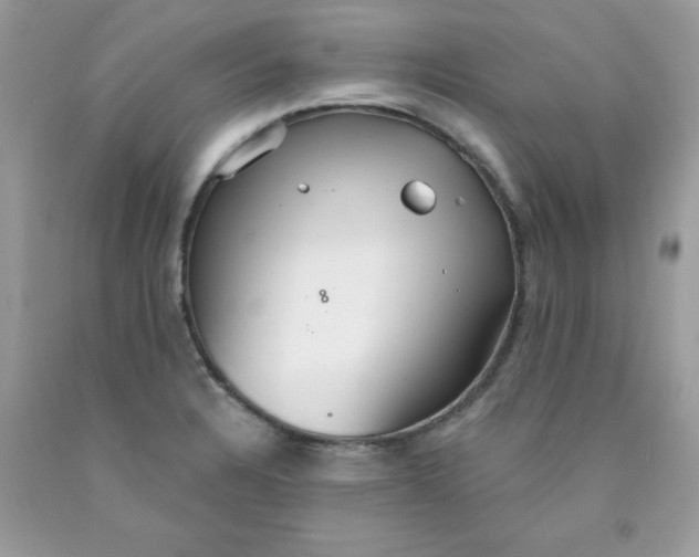 X0000089941328200707201854