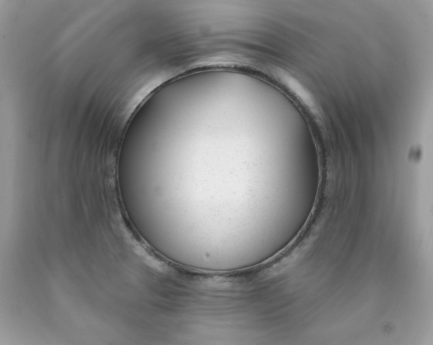 X0000089941329200707201854