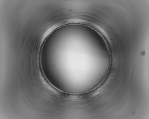 X0000089941330200707201854