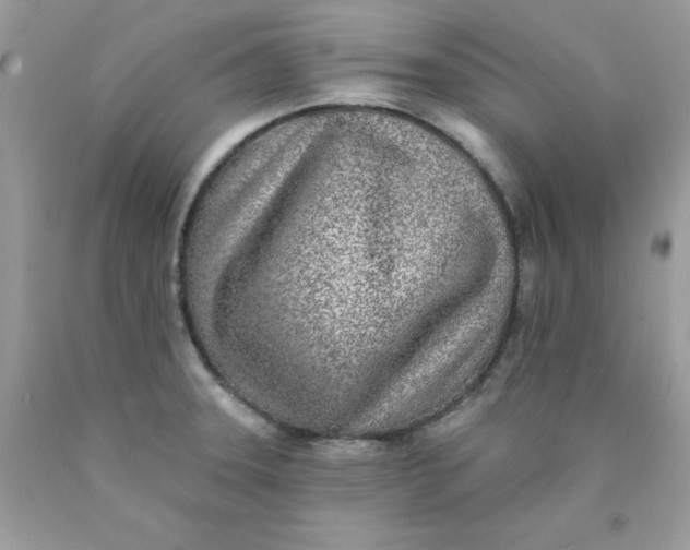 X0000089941331200707201854