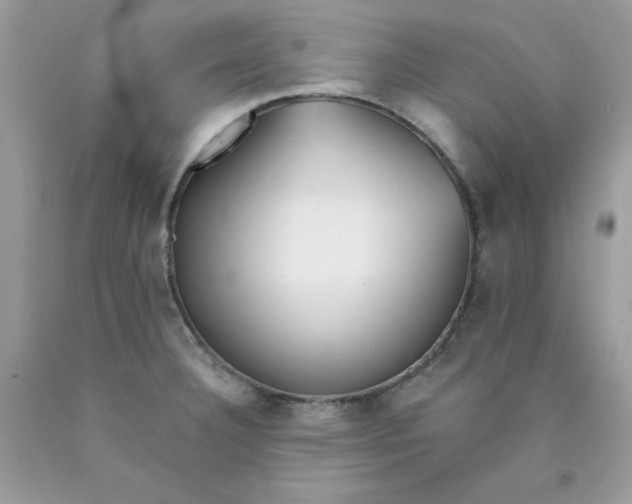 X0000089941332200707201854