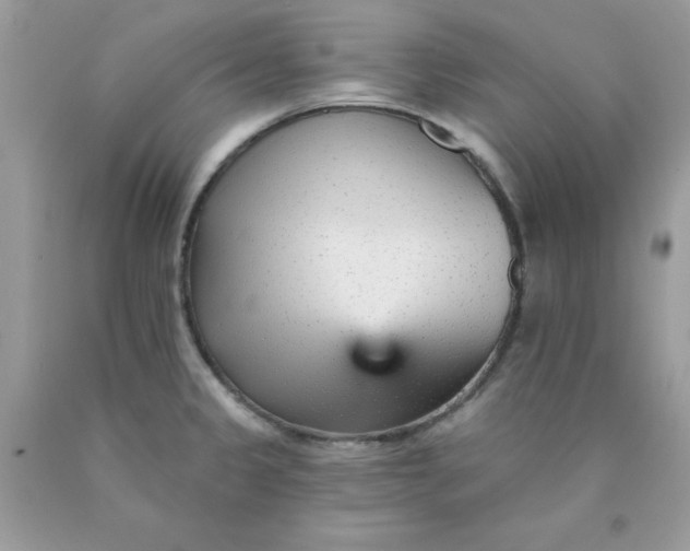 X0000089941333200707201854