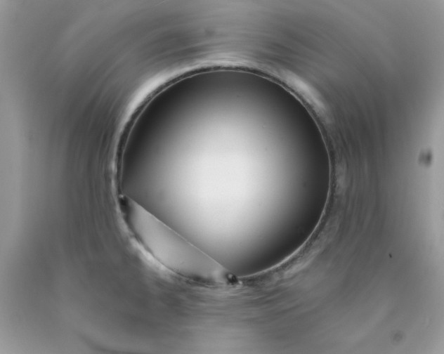 X0000089941334200707201854