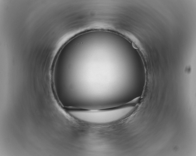 X0000089941335200707201854